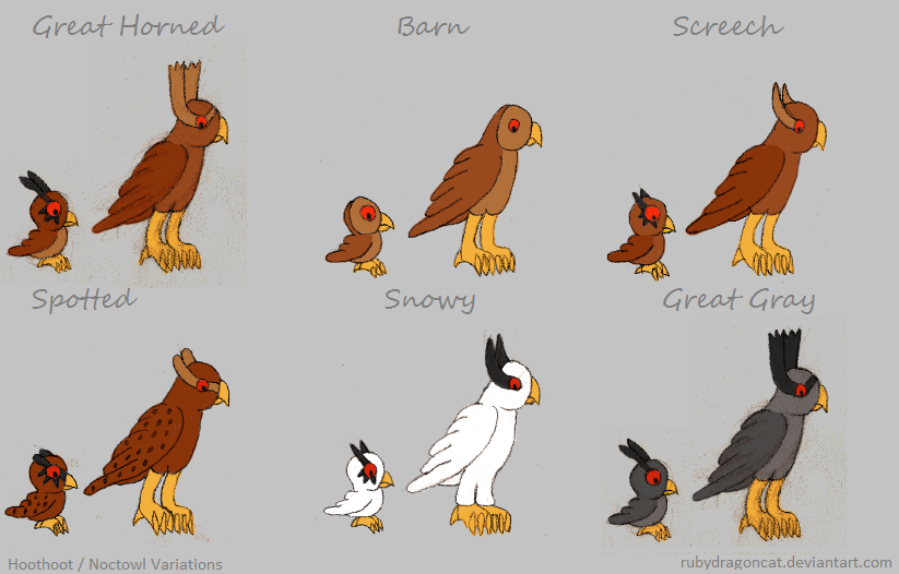 hoothoot_noctowl_variations_by_rubydrago
