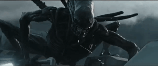 Image result for alien gifs from alien film