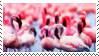 flamingos_stamp_by_odidos-dabaiv3.png