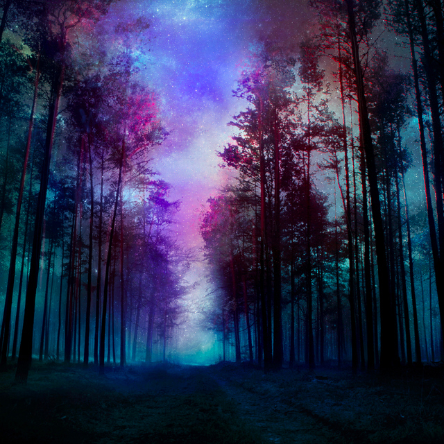 magical_forest___night_by_kokoszkaa d6zgjxn