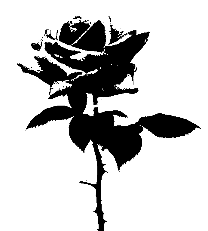 clipart rose stencil - photo #44