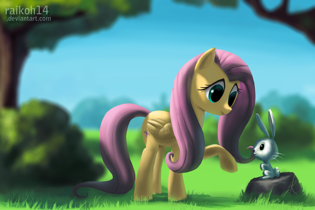 fluttershy_by_raikoh14-d4638r0.png