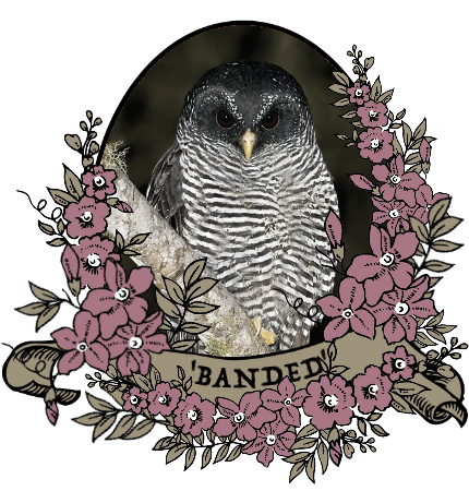 banded_by_myserpentine-d9c25b2.png