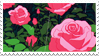 - Stamp: Drawn roses. - by ChicaTH