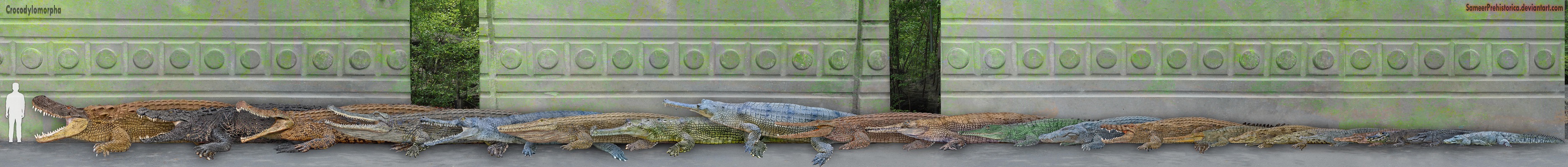 Crocodilians Size Comparison | Dinosaur Home