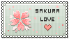 Sakura Love by wangqr