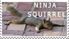 ninja squirrel stamp by war-armor