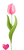Pink tulip by vafiehya