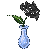 black Rose in teardrop crystal vase