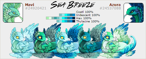 sea_breeze_by_cookierebel909-dags19q.png